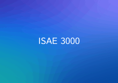 ISAE 3000 report for 2023